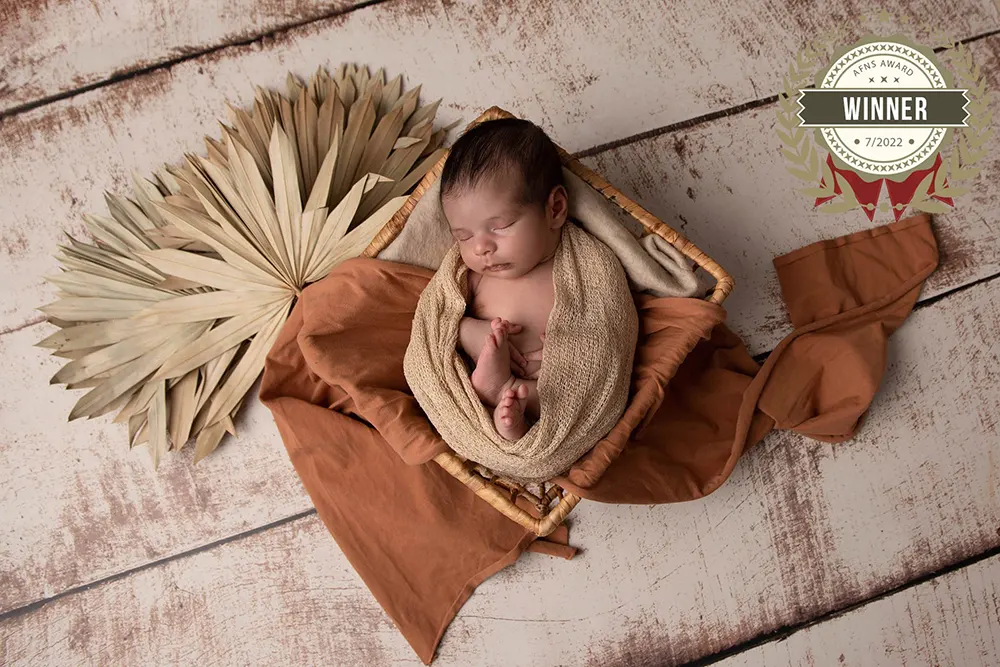 Photographe Le Mans Sarthe récompensée AFNS AWARD
