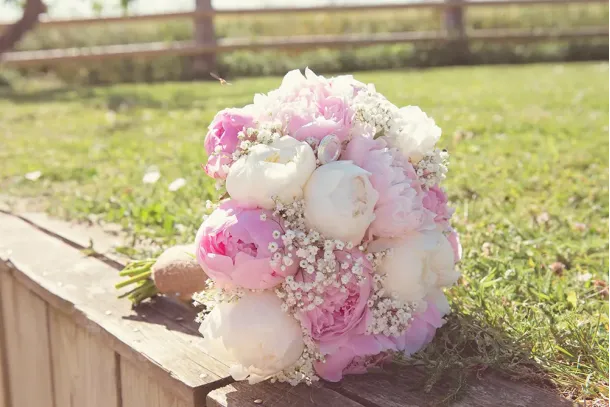 Photographe mariage à Le Mans