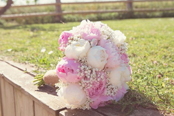 Ma Boite à Souvenirs Photographe Sarthe